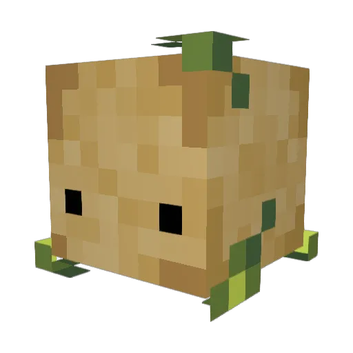 LittleHoePotato Minecraft avatar head, 3D render