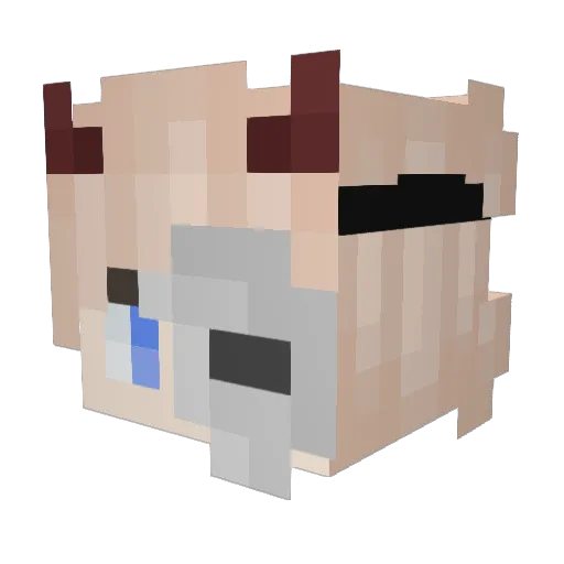 LittleJosh831 Minecraft avatar head, 3D render