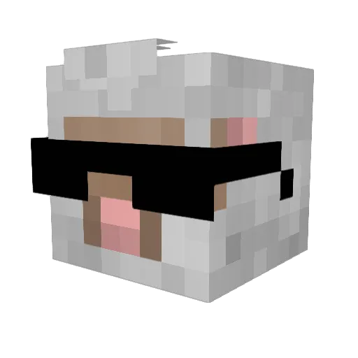 LittleJossiBear Minecraft avatar head, 3D render