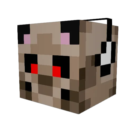 LittleKev1214 Minecraft avatar head, 3D render