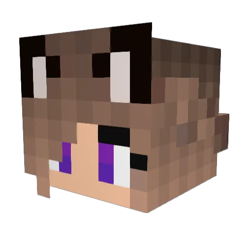 LittleKitten321 Minecraft avatar head, 3D render