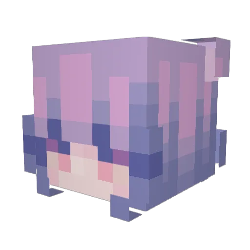 LittleKitty193 Minecraft avatar head, 3D render