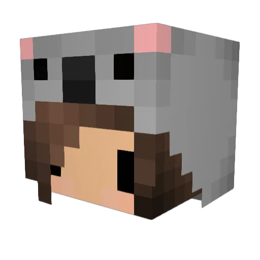 LittleKittyy Minecraft avatar head, 3D render