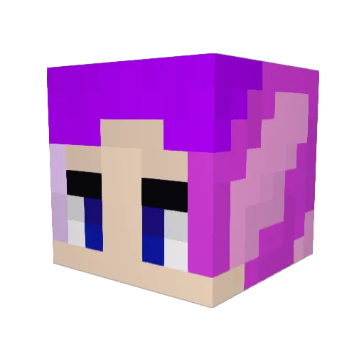 LittleKiwi Minecraft avatar head, 3D render