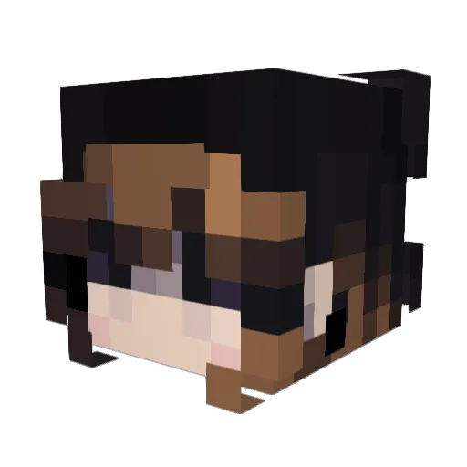 LittleLaty Minecraft avatar head, 3D render