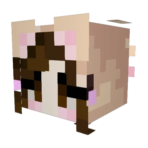 LittleLaura_ Minecraft avatar head, 3D render