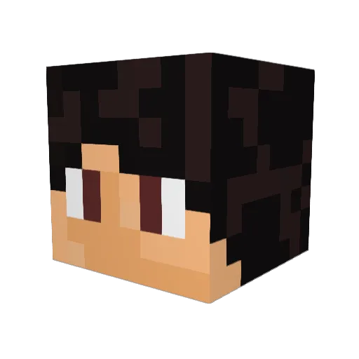 LittleLiam22 Minecraft avatar head, 3D render