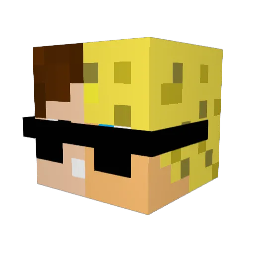LittleLight51 Minecraft avatar head, 3D render