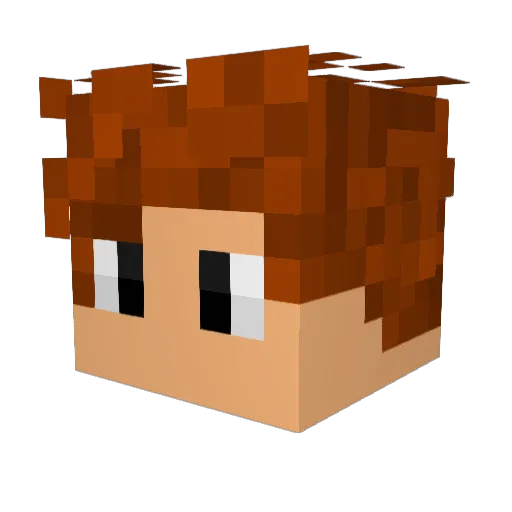 LittleLionM Minecraft avatar head, 3D render
