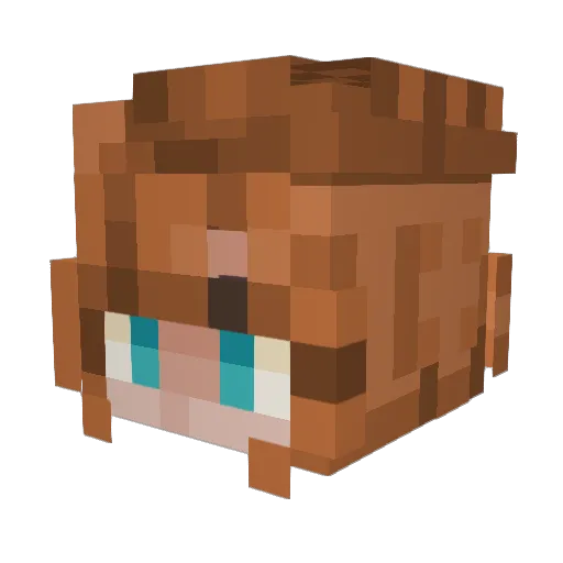 LittleLotusBaby Minecraft avatar head, 3D render