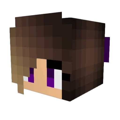 LittleMISSI429 Minecraft avatar head, 3D render