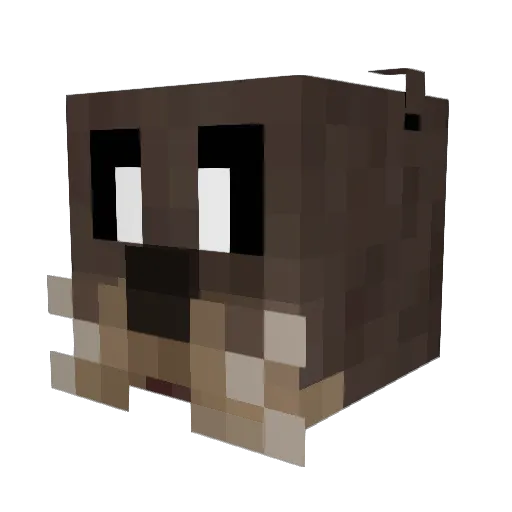 LittleMarmotte Minecraft avatar head, 3D render