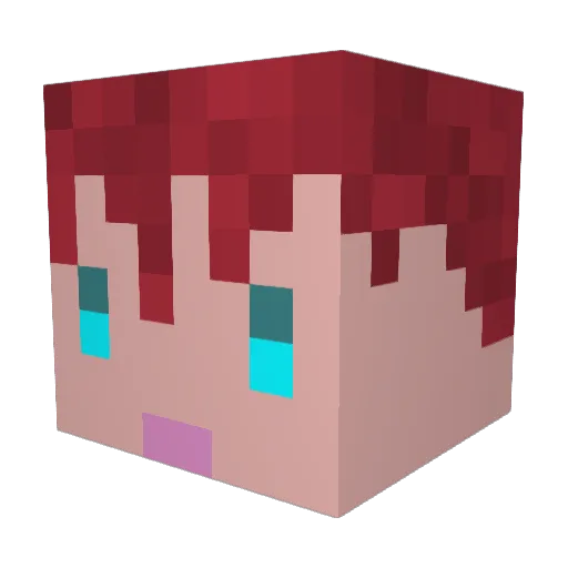 LittleMemory Minecraft avatar head, 3D render