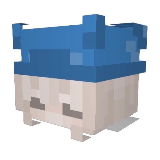 LittleMisAndrist Minecraft avatar head, 3D render