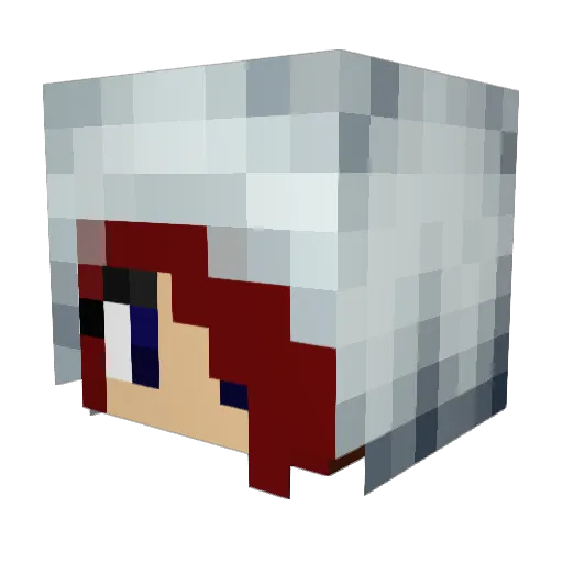LittleMissCrazy1 Minecraft avatar head, 3D render
