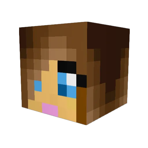 LittleMissMorgan Minecraft avatar head, 3D render