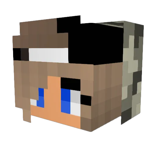 LittleMonsterSL Minecraft avatar head, 3D render