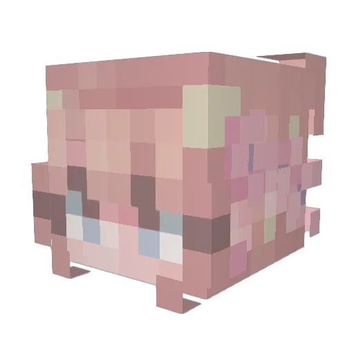 LittleNaomi0381 Minecraft avatar head, 3D render