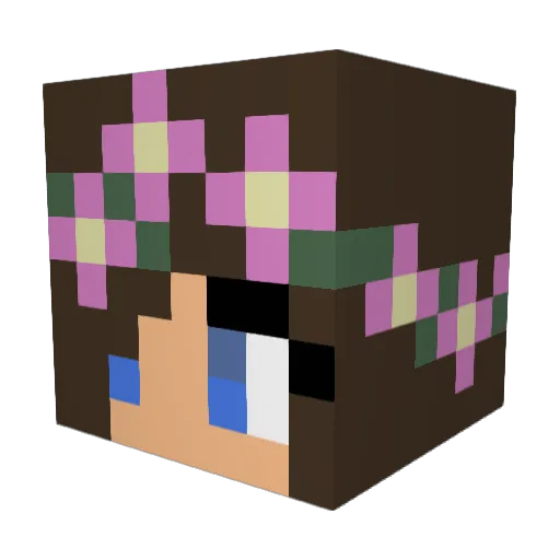 LittleNarwhal8 Minecraft avatar head, 3D render