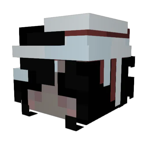 LittleNeko_ Minecraft avatar head, 3D render
