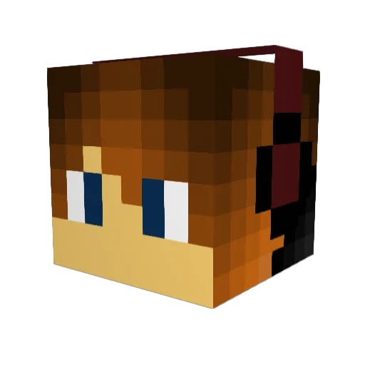 LittleNinja72 Minecraft avatar head, 3D render