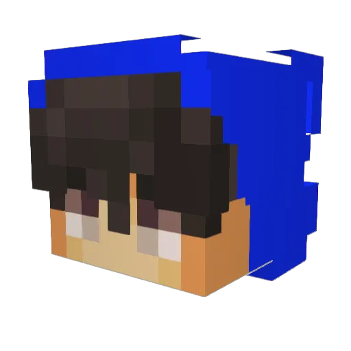 LittleOctopus10 Minecraft avatar head, 3D render