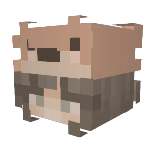 LittleOtter2007 Minecraft avatar head, 3D render