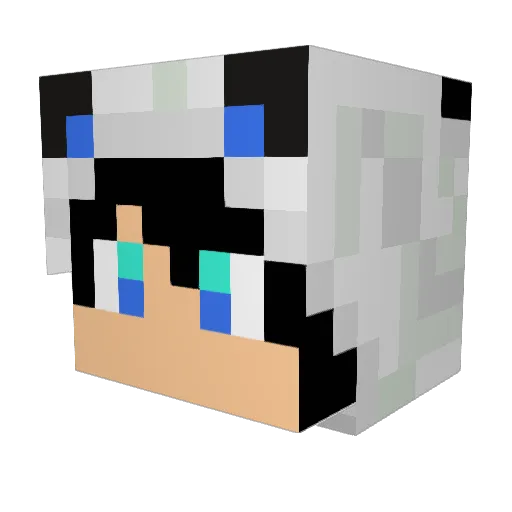 LittlePandaTV Minecraft avatar head, 3D render