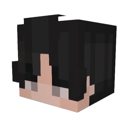 LittlePants00 Minecraft avatar head, 3D render
