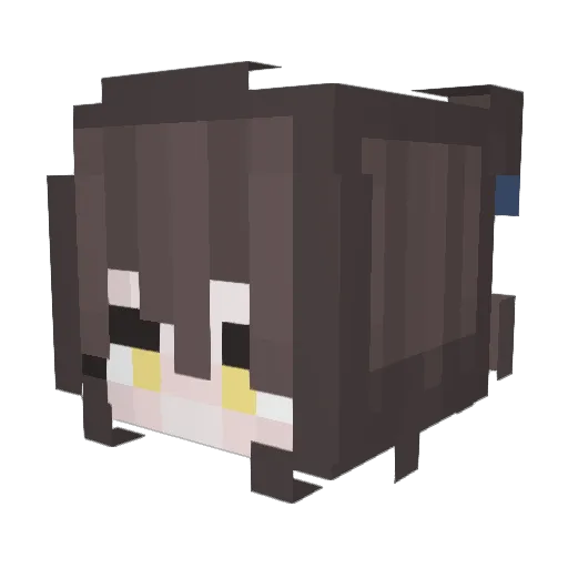 LittlePax Minecraft avatar head, 3D render