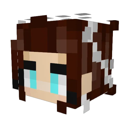 LittlePea520 Minecraft avatar head, 3D render