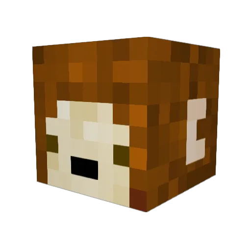 LittlePecka Minecraft avatar head, 3D render