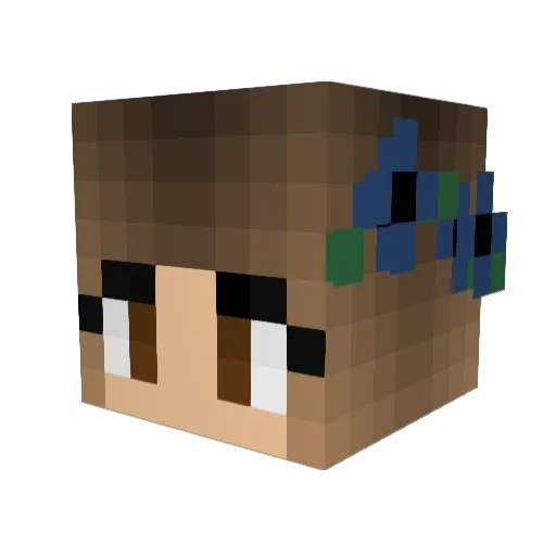 LittlePiggy485 Minecraft avatar head, 3D render