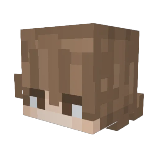 LittlePjkX Minecraft avatar head, 3D render