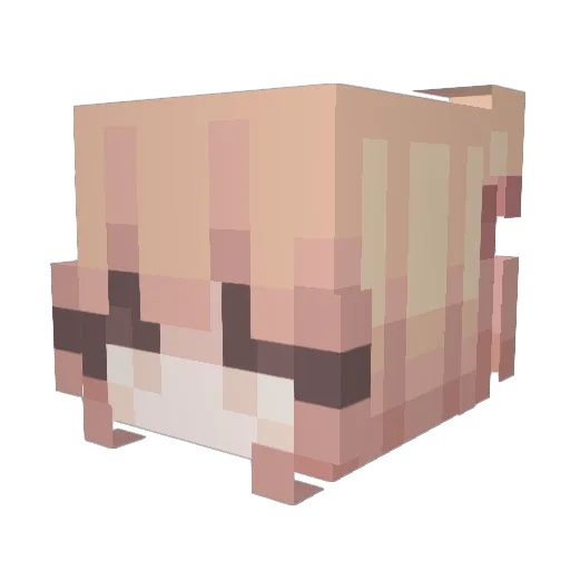 LittlePlatium Minecraft avatar head, 3D render