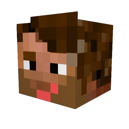 LittlePoorMoj Minecraft avatar head, 3D render