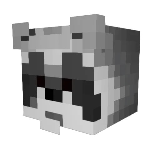 LittleRaccon1199 Minecraft avatar head, 3D render