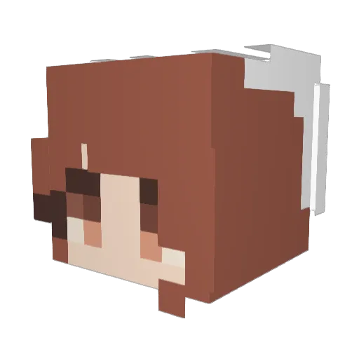 LittleRed2200 Minecraft avatar head, 3D render