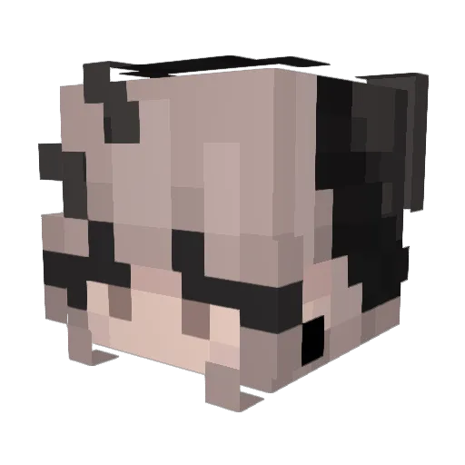 LittleRxse Minecraft avatar head, 3D render