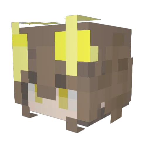 LittleShooshBab Minecraft avatar head, 3D render