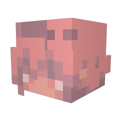 LittleShu_ Minecraft avatar head, 3D render