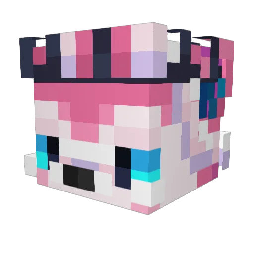 LittleSnowyVee Minecraft avatar head, 3D render