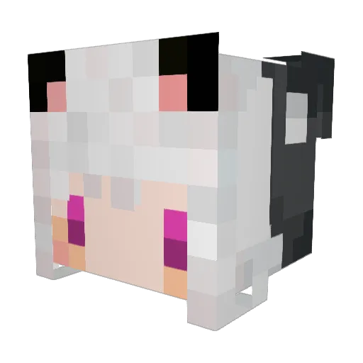 LittleTai_owo Minecraft avatar head, 3D render