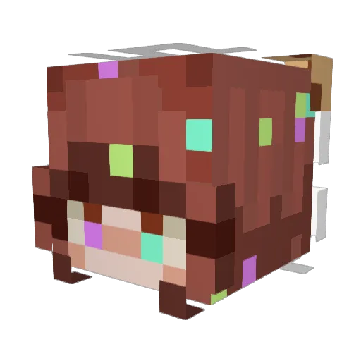 LittleToady Minecraft avatar head, 3D render