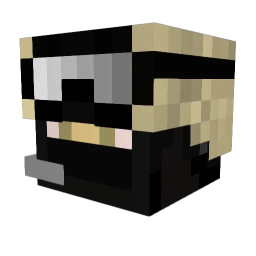 LittleTreeGuy Minecraft avatar head, 3D render