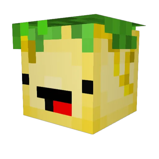 LittleUnicorn88 Minecraft avatar head, 3D render