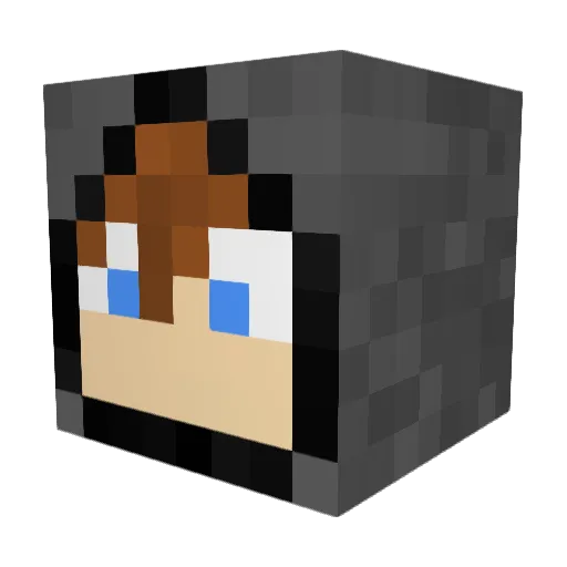LittleWaverly Minecraft avatar head, 3D render