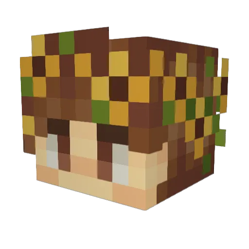 LittleWolfHunter Minecraft avatar head, 3D render