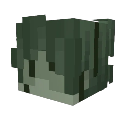 LittleYodaGamer Minecraft avatar head, 3D render