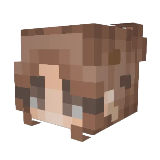LittleZZ3 Minecraft avatar head, 3D render